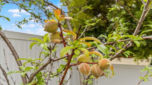 queens-homes-day-care-zandra-rooms-25